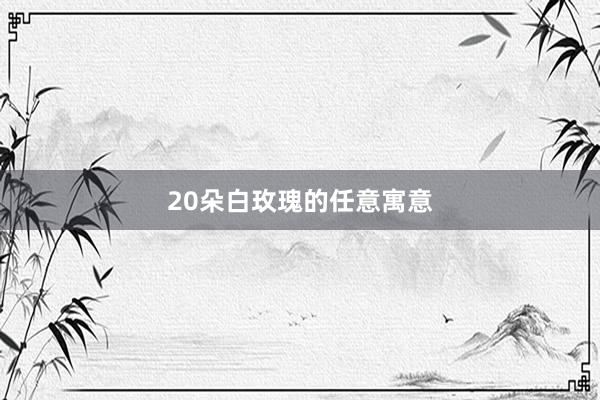 20朵白玫瑰的任意寓意