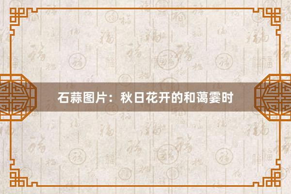 石蒜图片：秋日花开的和蔼霎时
