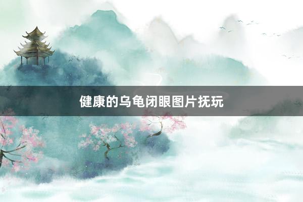 健康的乌龟闭眼图片抚玩