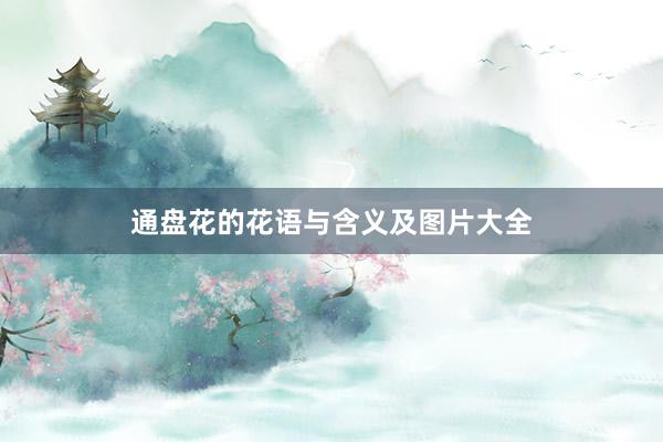通盘花的花语与含义及图片大全